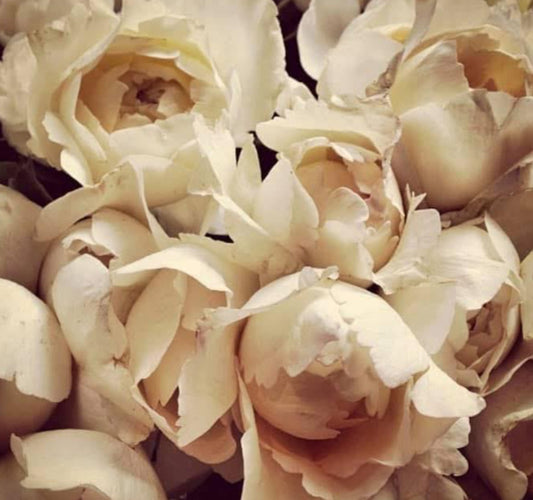 The Milla Dress Beige